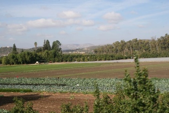 Enlarge photo 235