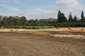 Enlarge photo 238