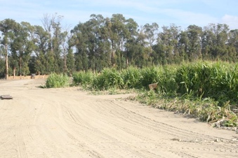 Enlarge photo 248