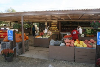 Enlarge photo 254
