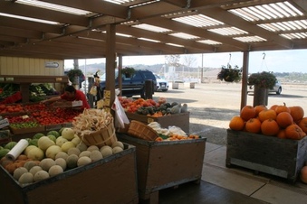 Enlarge photo 257