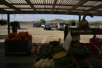 Enlarge photo 258