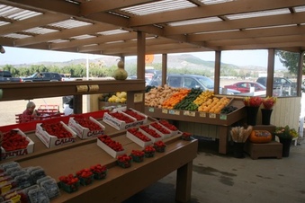 Enlarge photo 259