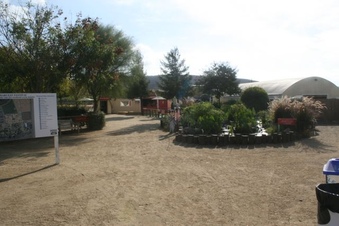Enlarge photo 261