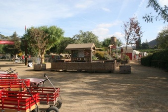 Enlarge photo 263