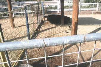 Enlarge photo 284