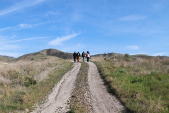 Enlarge photo 5