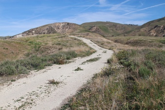 Enlarge photo 6