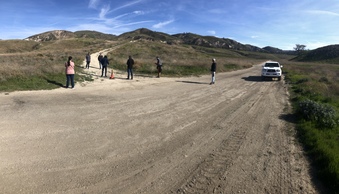 Border Fence 
