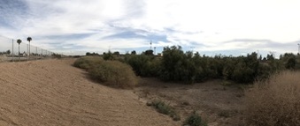 Calexico Drone shots