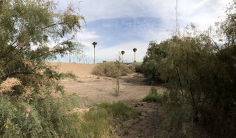 Enlarge photo 3