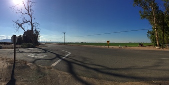 Enlarge photo 35