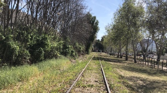 Enlarge photo 90