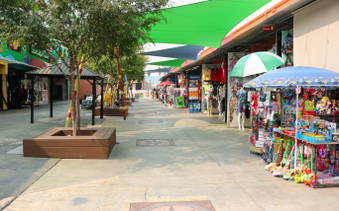 Enlarge photo 37