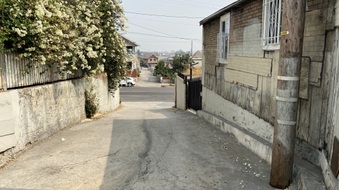 Enlarge photo 16