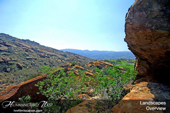Enlarge photo 116