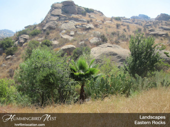 Enlarge photo 119