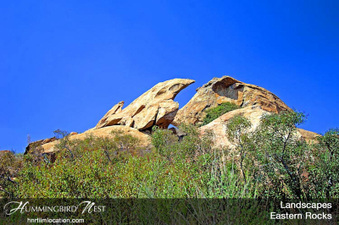 Enlarge photo 121