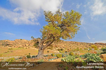 Enlarge photo 124
