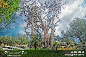 Enlarge photo 125