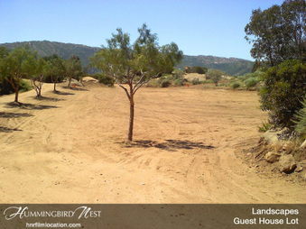 Enlarge photo 126