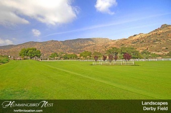 Enlarge photo 131