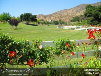 Enlarge photo 134