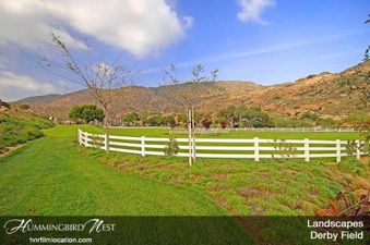 Enlarge photo 135