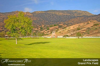 Enlarge photo 139