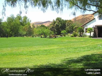 Enlarge photo 153