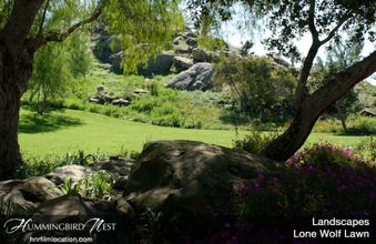 Enlarge photo 155