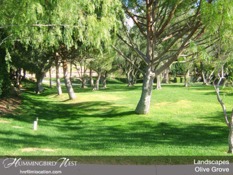 Enlarge photo 158