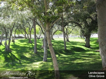 Enlarge photo 160