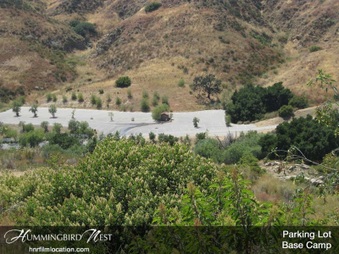 Enlarge photo 165