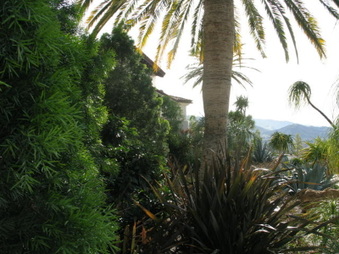 Enlarge photo 49