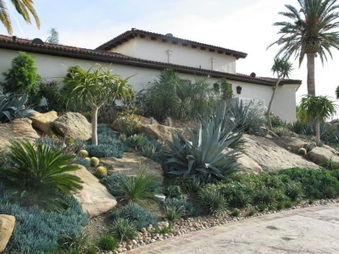 Enlarge photo 52