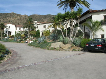 Enlarge photo 53
