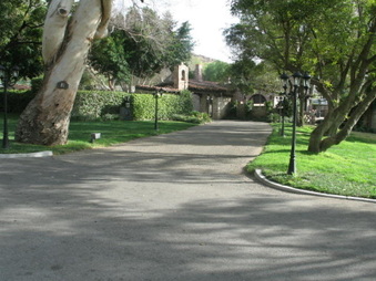 Enlarge photo 172