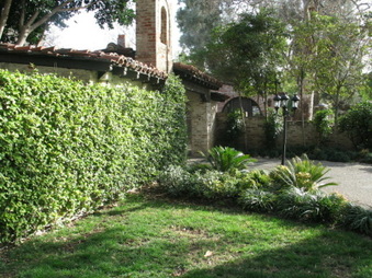 Enlarge photo 173