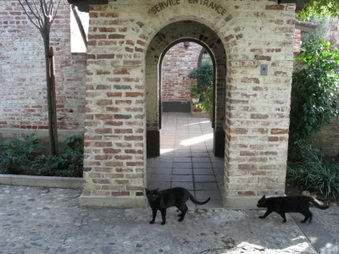 Enlarge photo 177