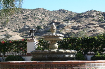 Enlarge photo 61