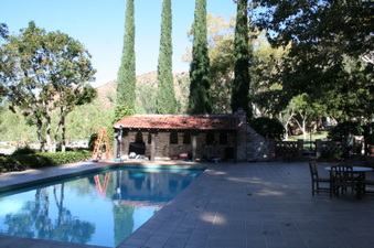 Enlarge photo 195