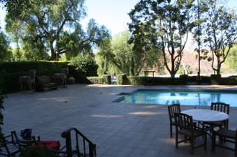 Enlarge photo 203