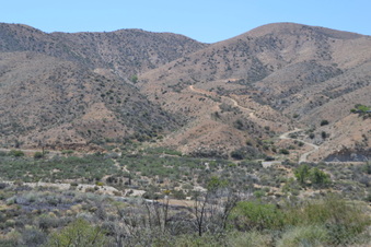 Enlarge photo 130