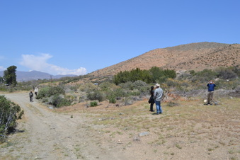 Enlarge photo 134