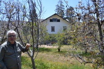 Enlarge photo 138