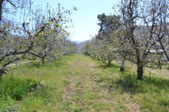 Enlarge photo 140