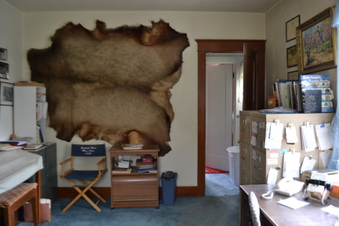 Enlarge photo 33