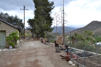 Enlarge photo 52