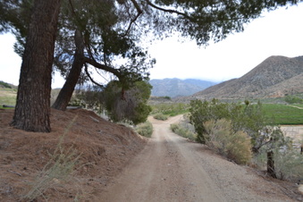 Enlarge photo 54